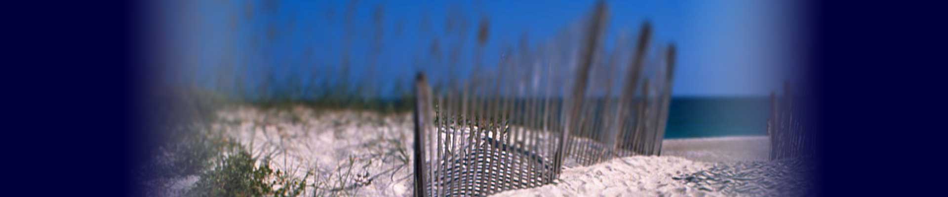 Blue Flag Beaches