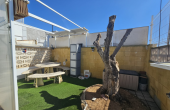 JARDIN10